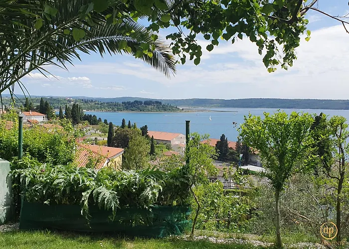 Apartment With Seaview And Garden For 6